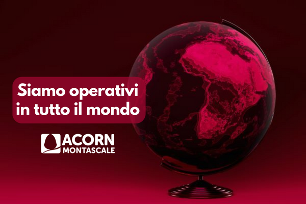 La FAQ della settimana di Acorn Montascale. In quanti paesi esporta Acorn?