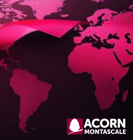 La FAQ della settimana di Acorn Montascale. Acorn è un