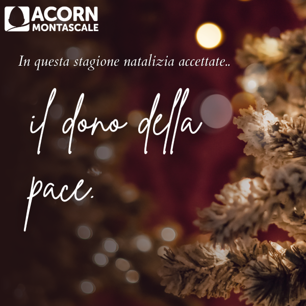 Decorate le scale con un montascale Acorn per queste festività 