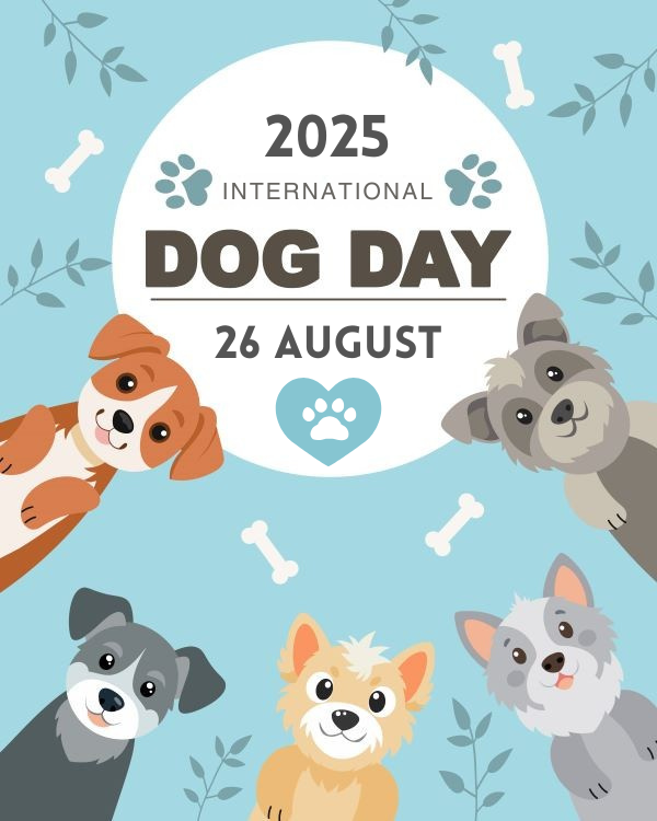 International Dog Day—How Our Fur Babies Help Seniors Stay Happy and Healthy
