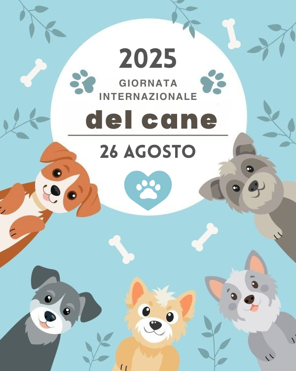 Giornata internazionale del cane. Come i nostri amici a quattro zampe aiutano gli anziani a rimanere felici e in salute