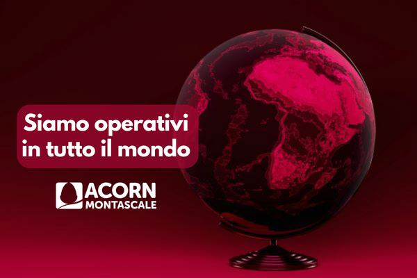 Acorn Montascale Servizio mondiale